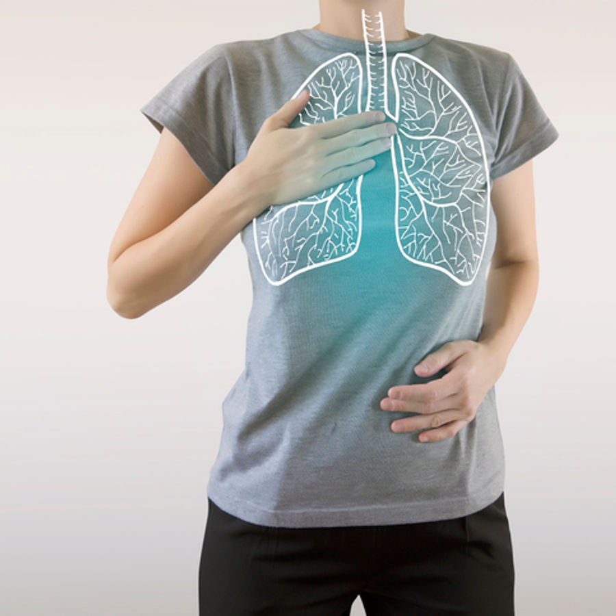 Illustration du système respiratoire, en lien avec l'inhalothérapie